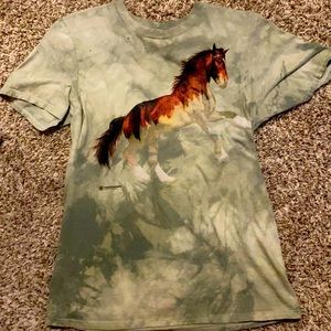 A the mountain shirt in good condition but has a blue stain